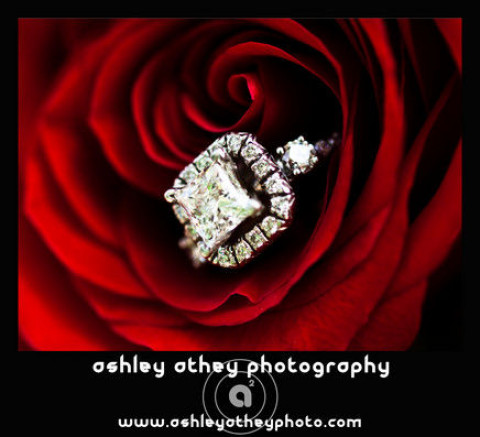 Visit Ashley Athey Photography