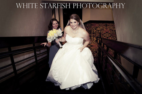 Visit Bex White - White Starfish Photography