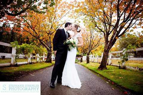 Visit Stephanie Stremler Photography