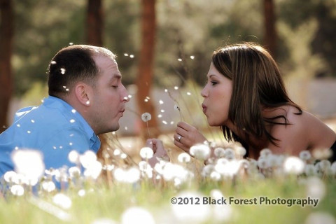 Visit Black Forest Photography